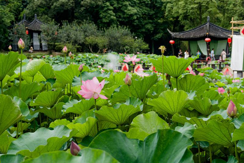 从成都的麻辣到大连的海风，一条横跨半个中国的松弛感路线-第2张图片-四川省中国青年旅行社
